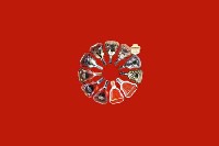 芦溪县回收红酒